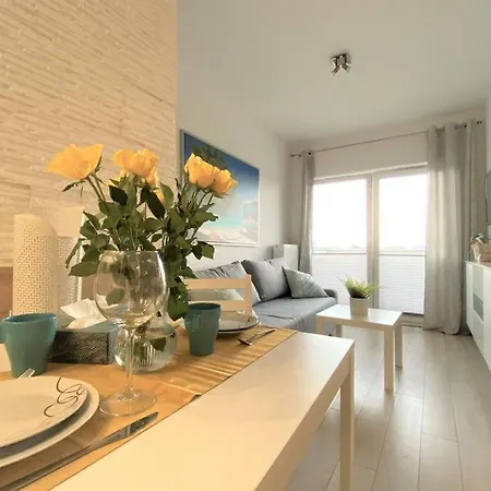 Stary Homely